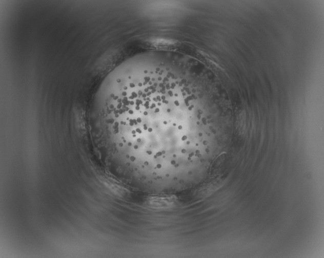 X0000074030571200609061145