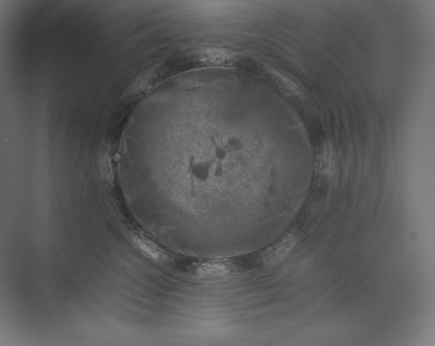 X0000074030572200609061145