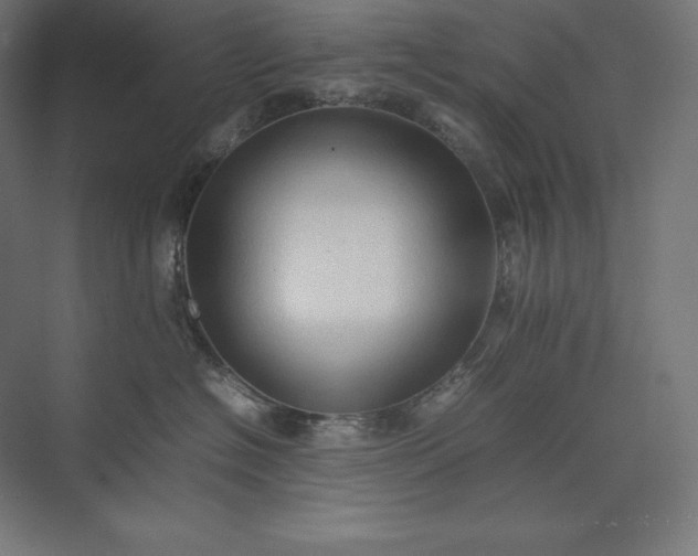 X0000074030574200609061145