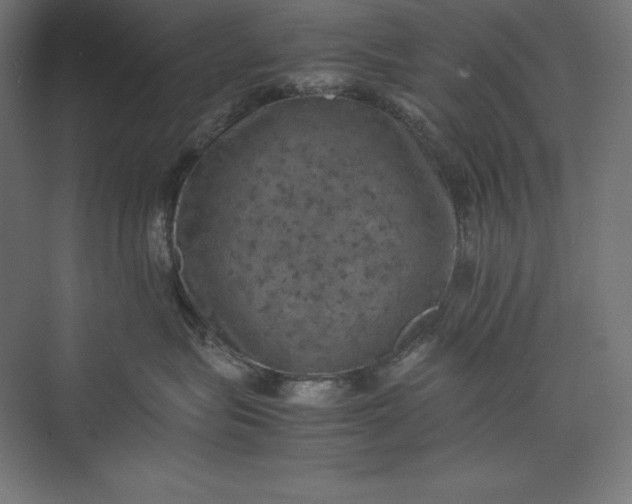 X0000074030575200609061145