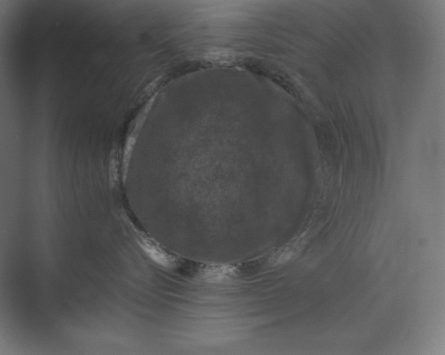 X0000074030576200609061145