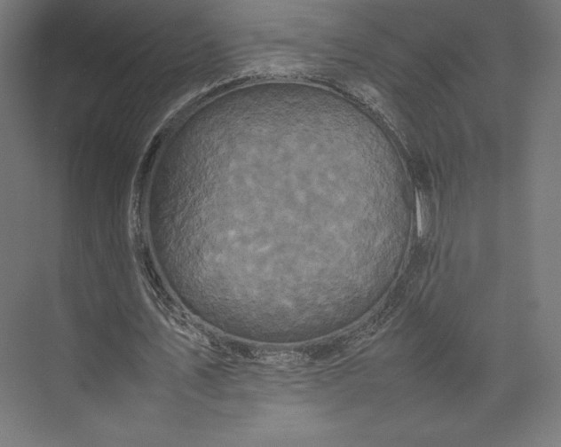 X0000074030579200609061144