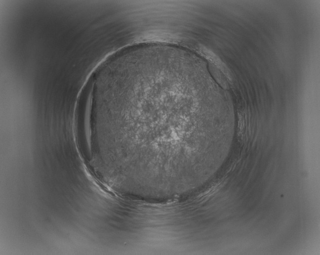 X0000074030580200609061144