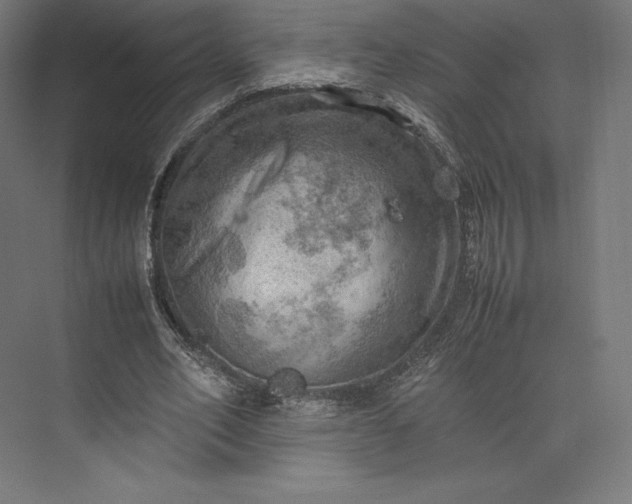 X0000074030582200609061144