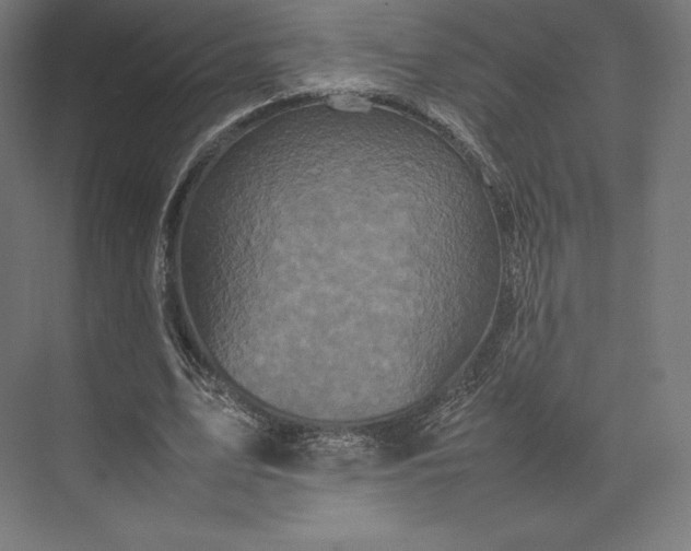 X0000074030583200609061144