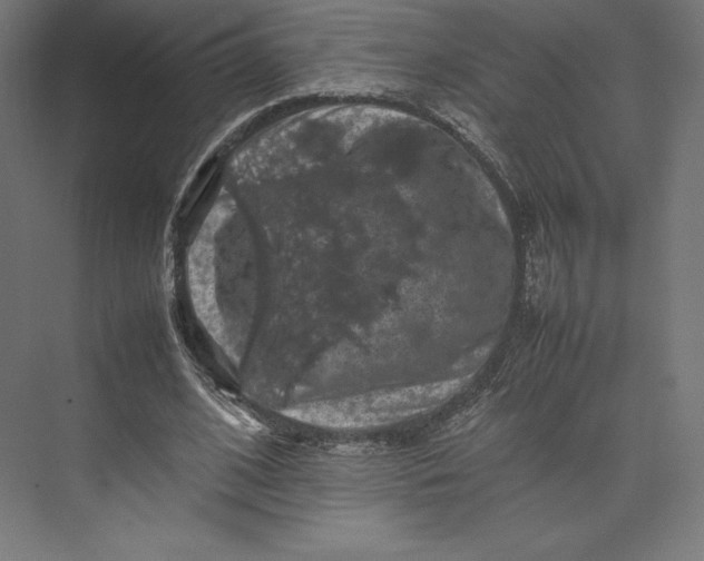 X0000074030584200609061144