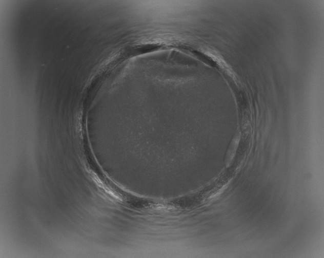 X0000074030585200609061144