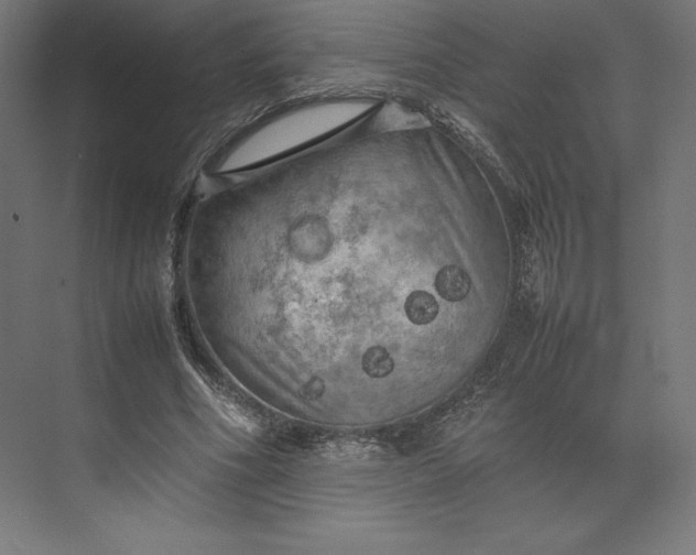 X0000074030586200609061144