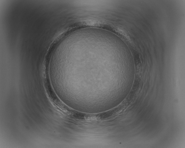 X0000074030587200609061144