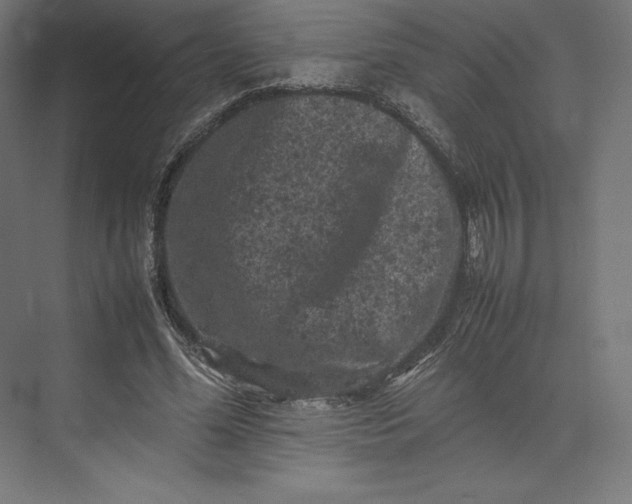 X0000074030588200609061144