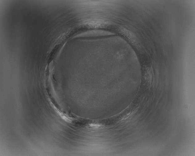 X0000074030590200609061144