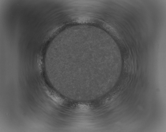 X0000074030592200609061144