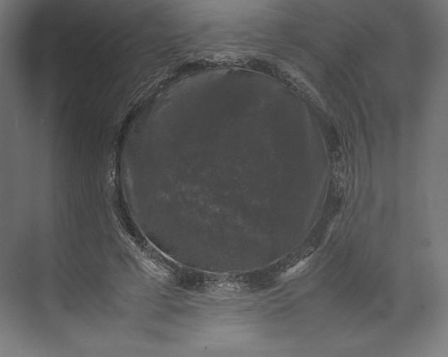 X0000074030593200609061144