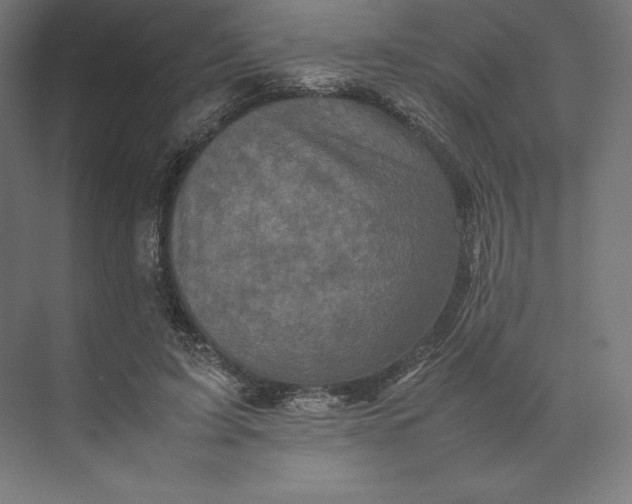 X0000074030595200609061144