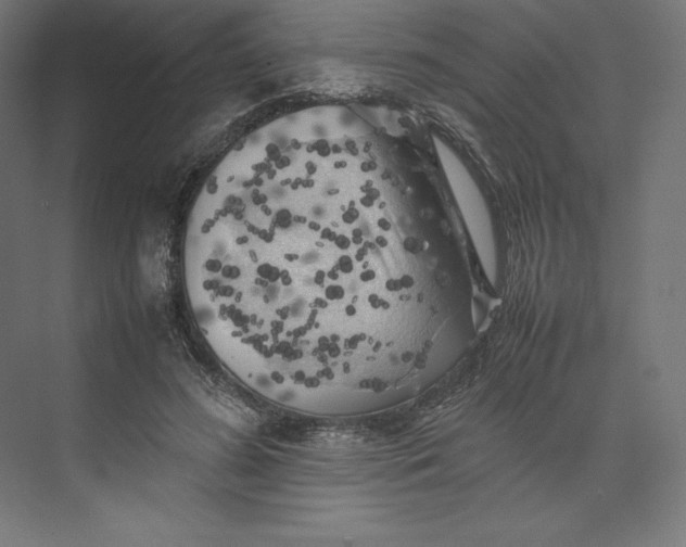 X0000074030596200609061144