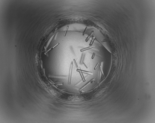 X0000074030597200609061144