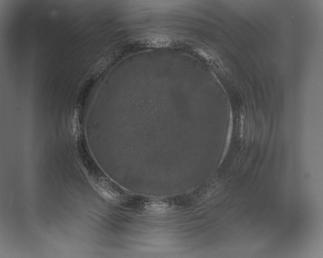 X0000074030598200609061143