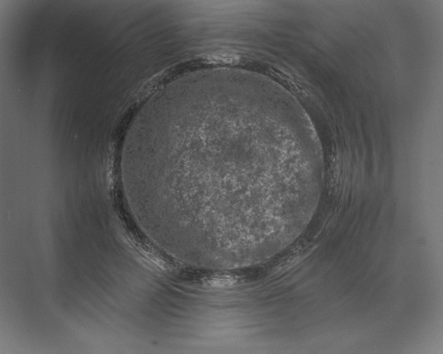 X0000074030600200609061143