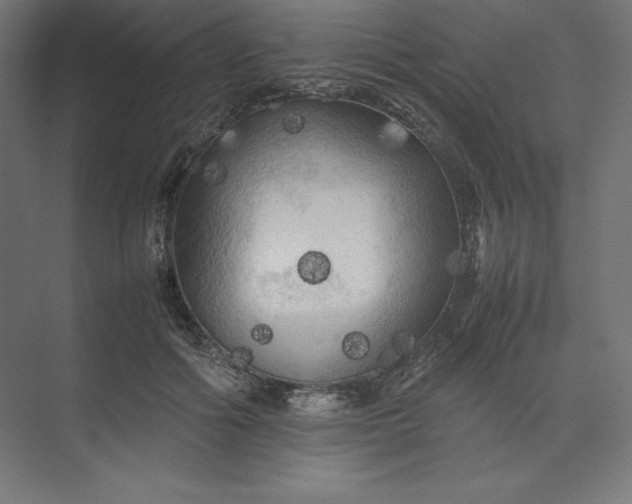 X0000074030602200609061143