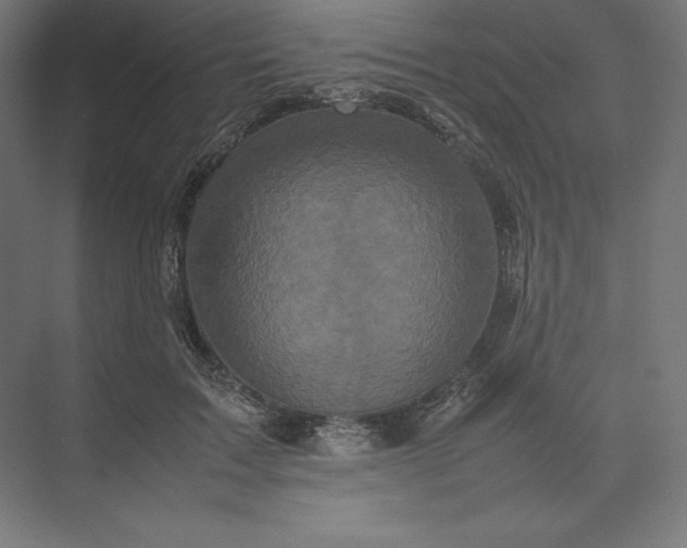 X0000074030603200609061143