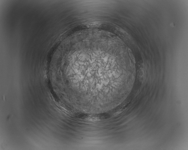 X0000074030604200609061143