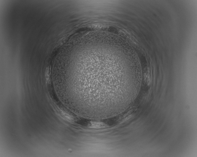 X0000074030605200609061143