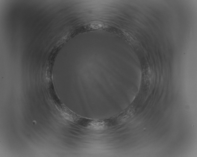 X0000074030606200609061143