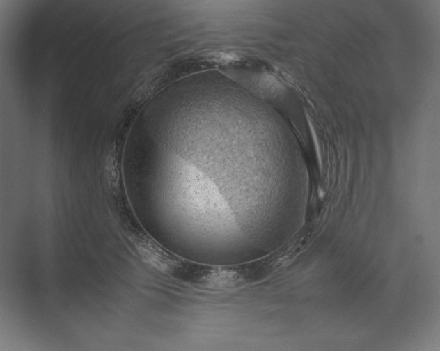 X0000074030609200609061143