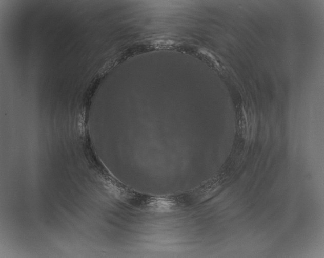 X0000074030610200609061143