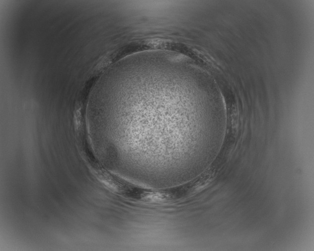 X0000074030611200609061143