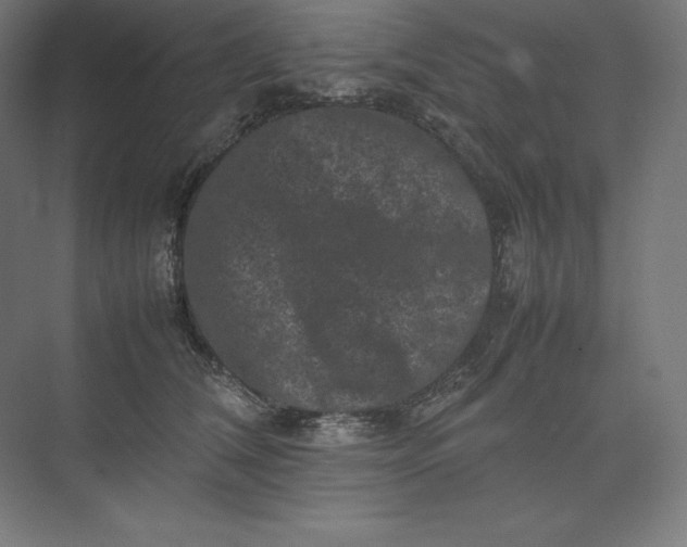 X0000074030612200609061143