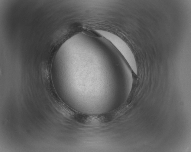 X0000074030613200609061143