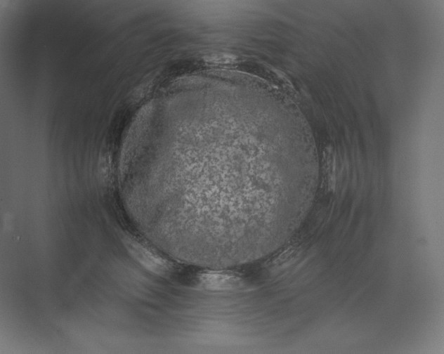 X0000074030614200609061143