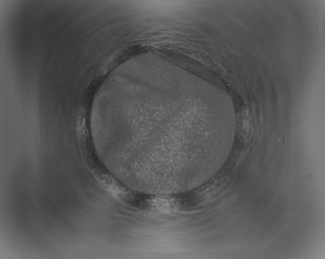 X0000074030615200609061143