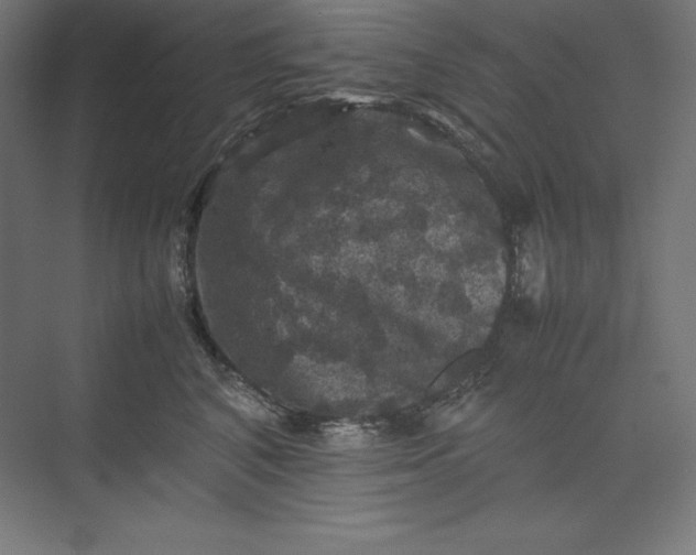 X0000074030616200609061143