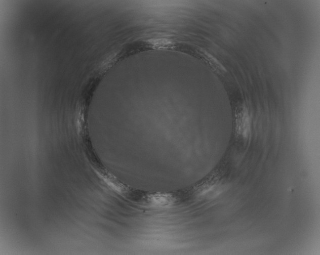 X0000074030618200609061143