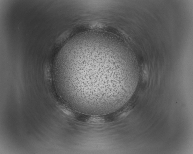 X0000074030619200609061143