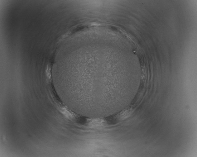 X0000074030621200609061143