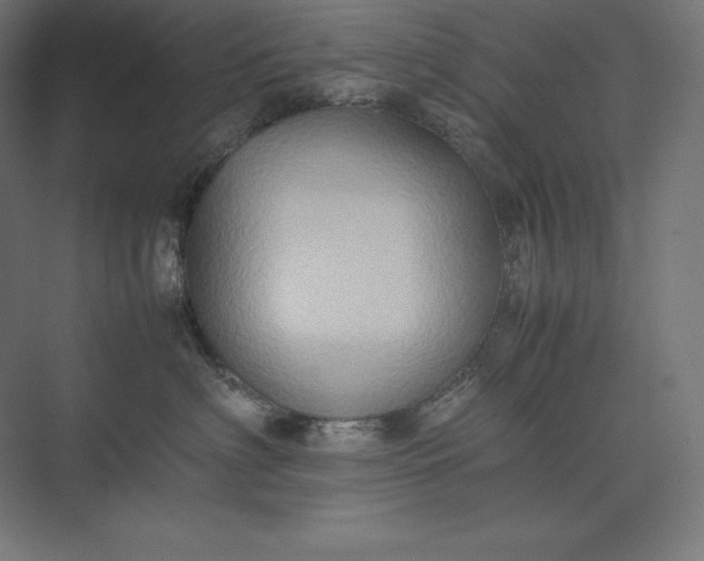 X0000074030622200609061143