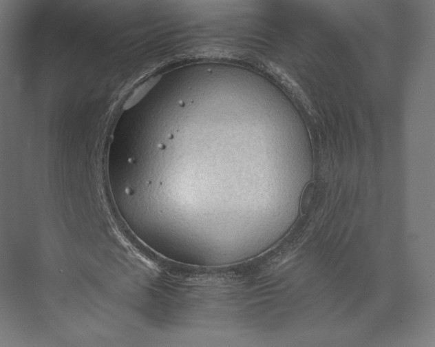 X0000074030625200609061142