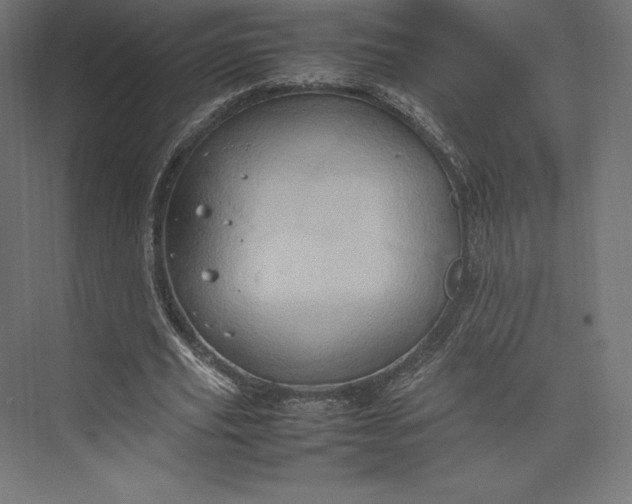 X0000074030629200609061142