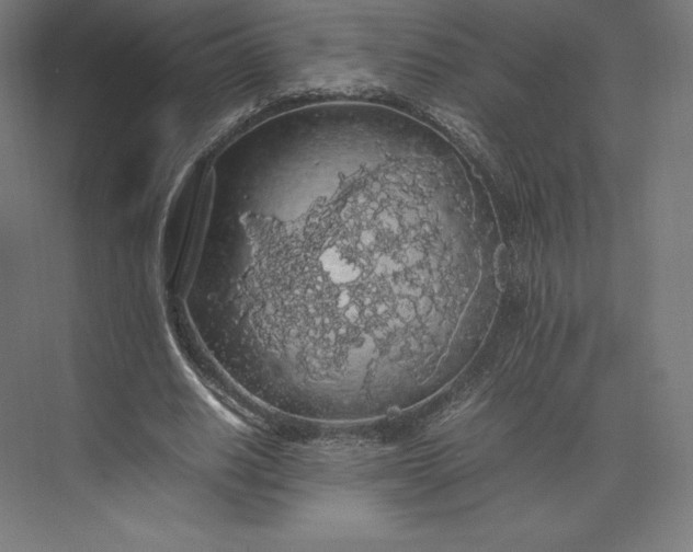 X0000074030630200609061142