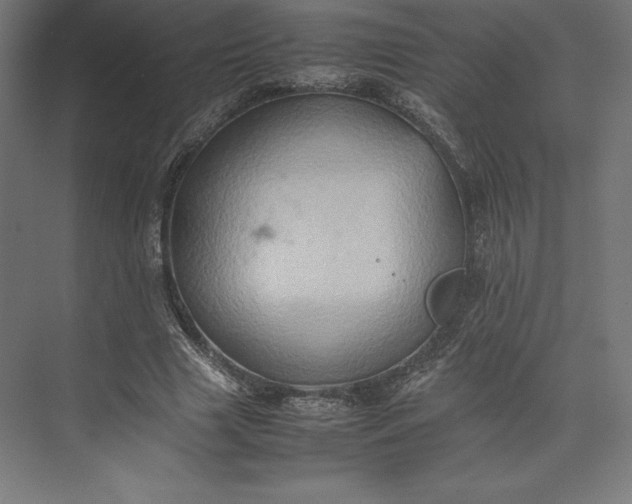 X0000074030633200609061142