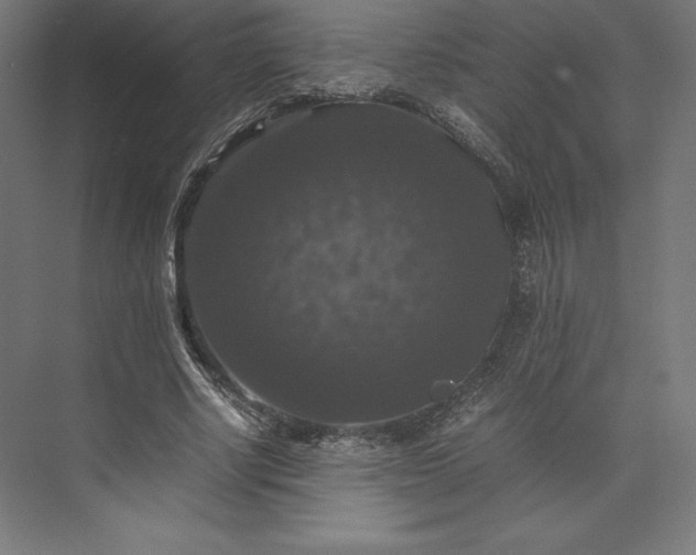 X0000074030634200609061142