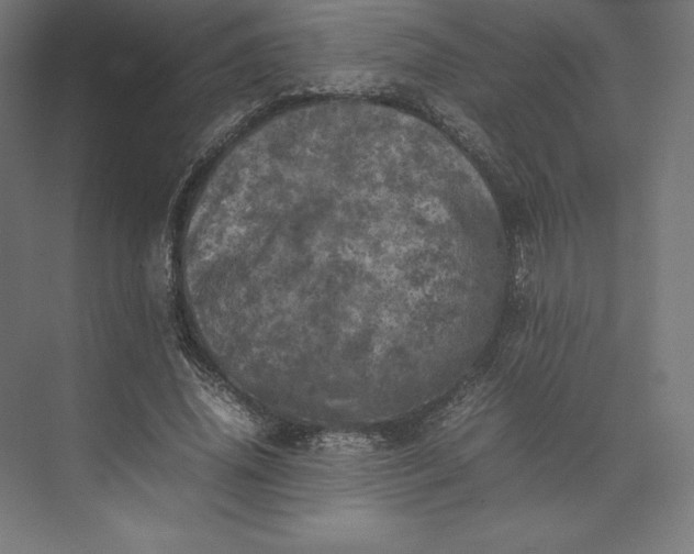 X0000074030636200609061142