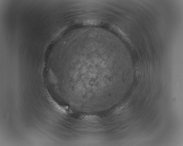 X0000074030637200609061142