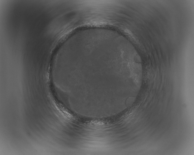 X0000074030640200609061143