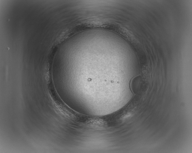 X0000074030642200609061143