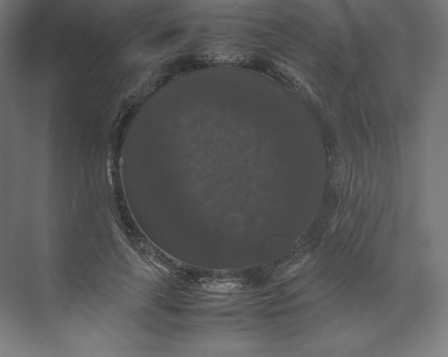 X0000074030643200609061143