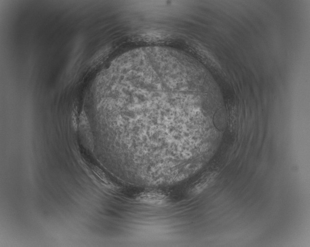 X0000074030644200609061143